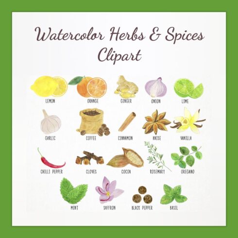 Watercolor Herbs & Spices Clipart.