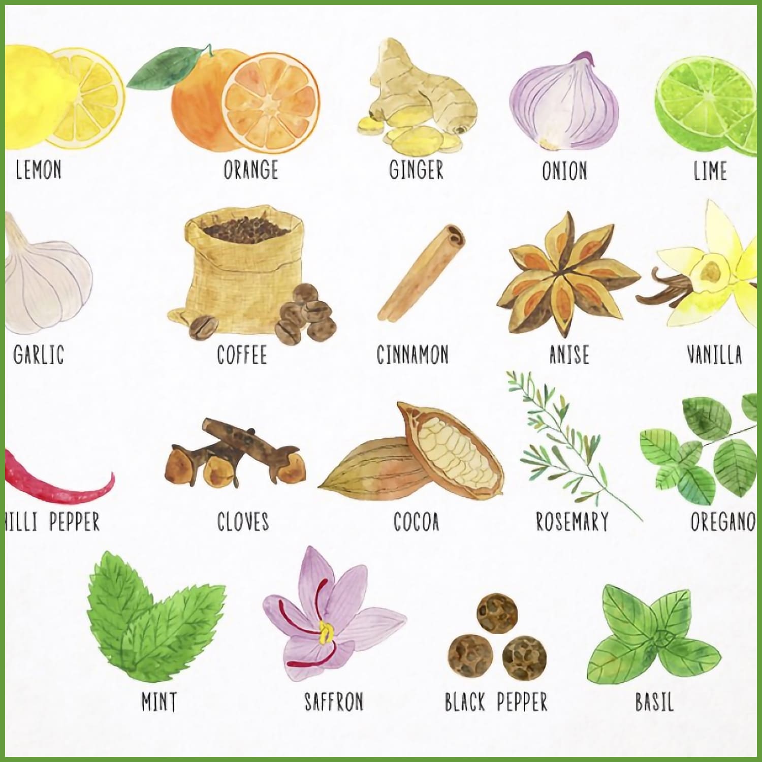 Watercolor Herbs & Spices Clipart cover.