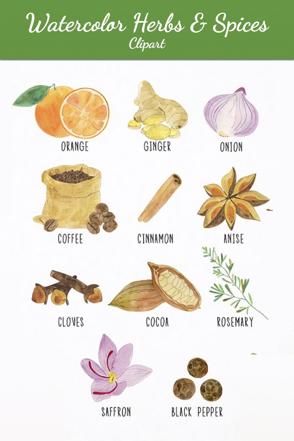 watercolor herbs spices clipart 03