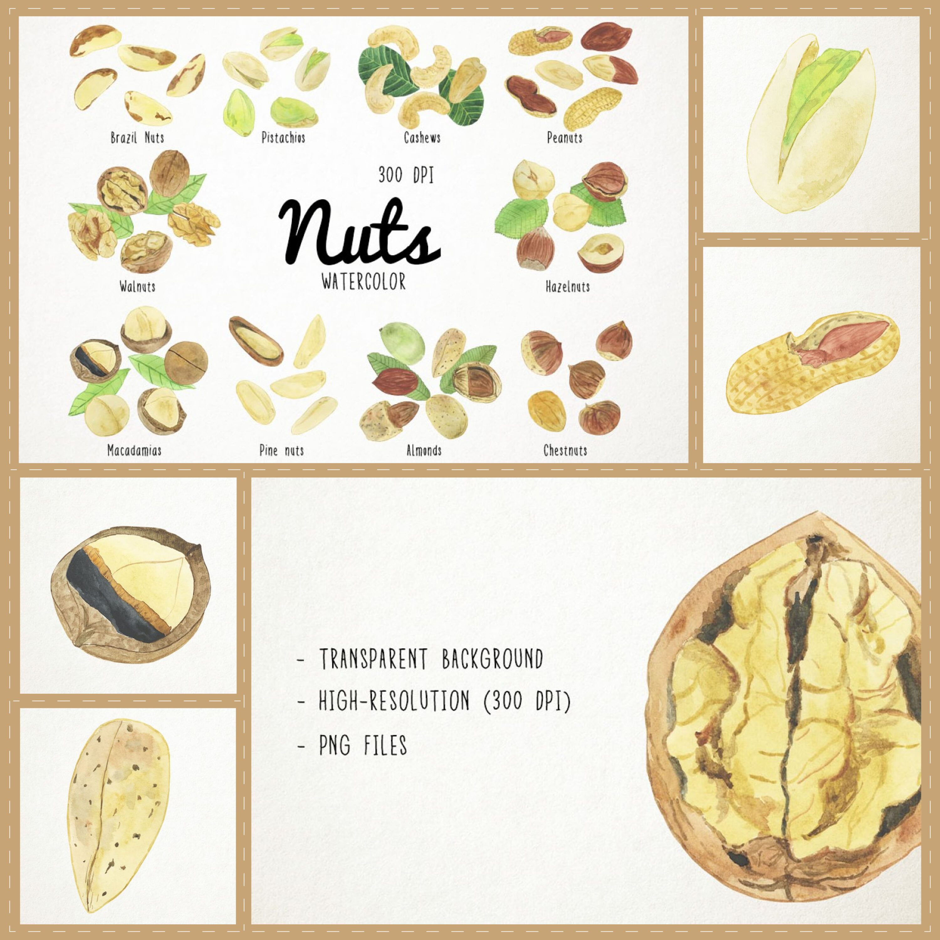 Watercolor Nuts Clipart cover.