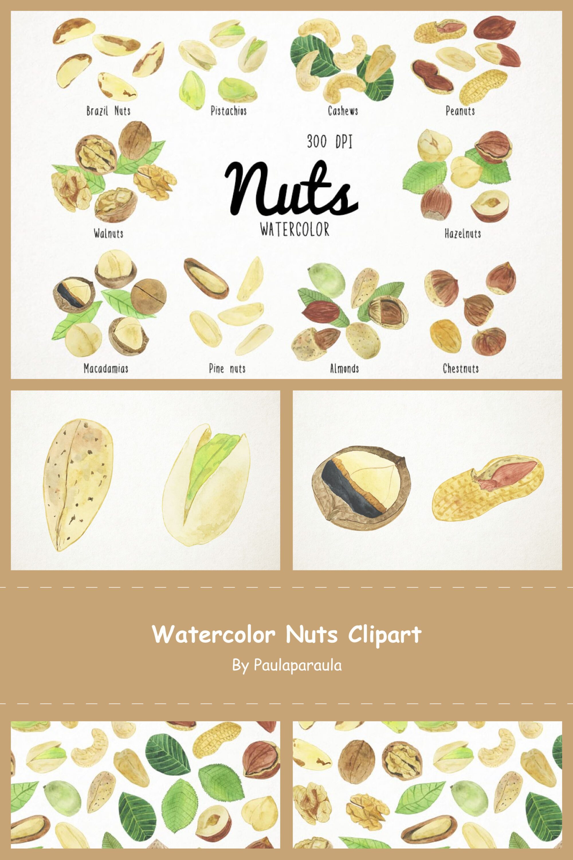 watercolor nuts clipart 03