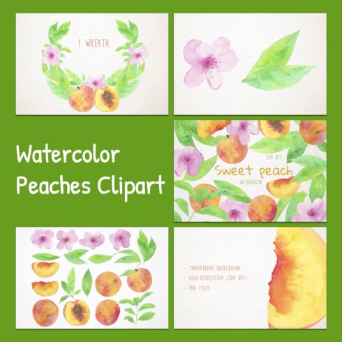 Watercolor Peaches Clipart.