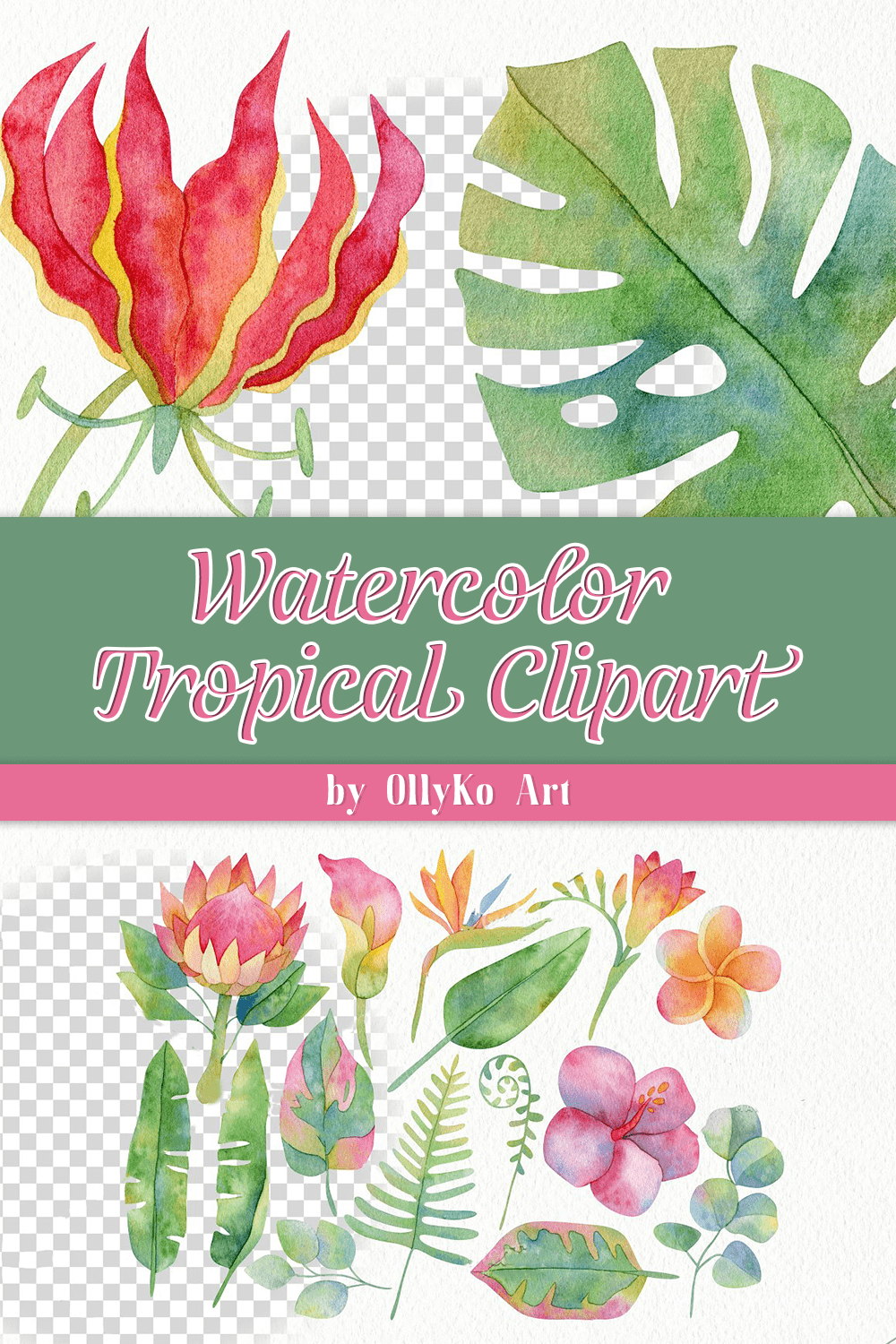 watercolor tropical clipart pinterest
