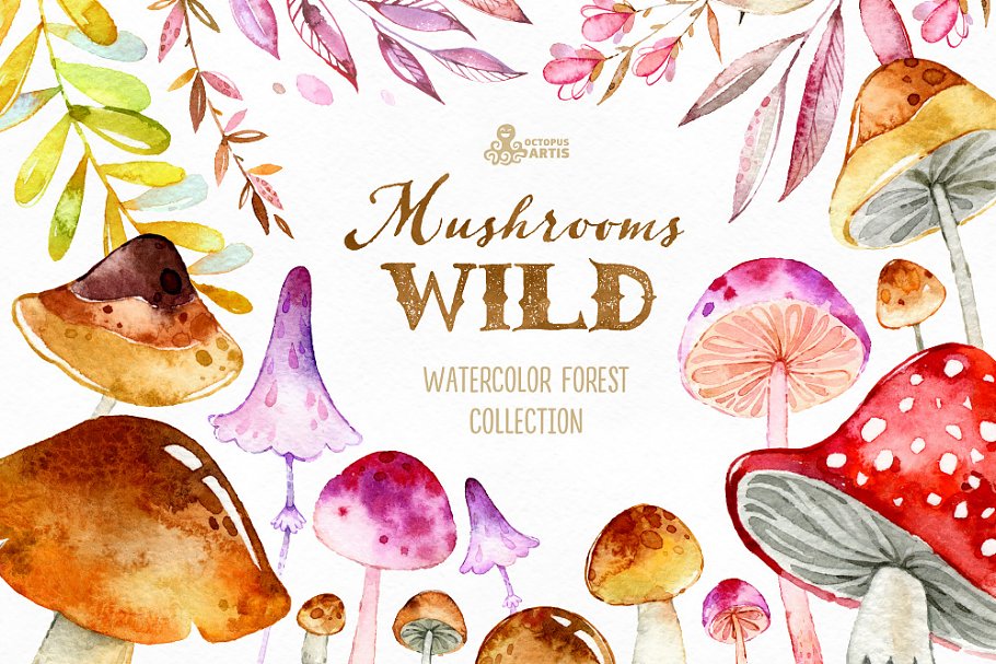 Cover image of Wild Mushrooms. Forest Collection.