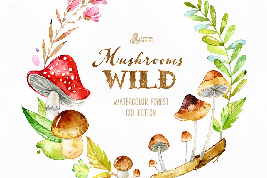 Wild mushrooms - watercolor forest collection.