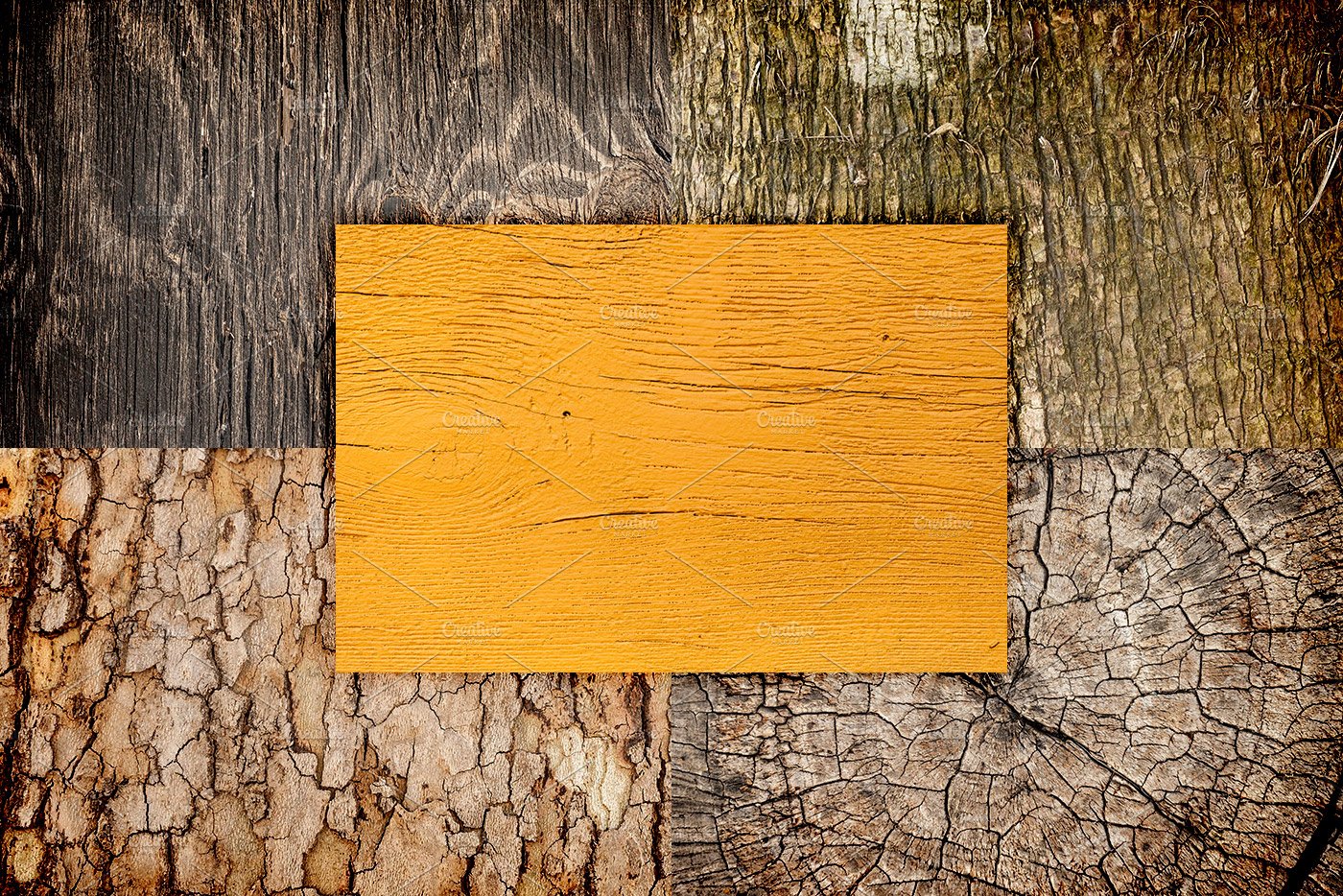 Diverse of wooden textures.