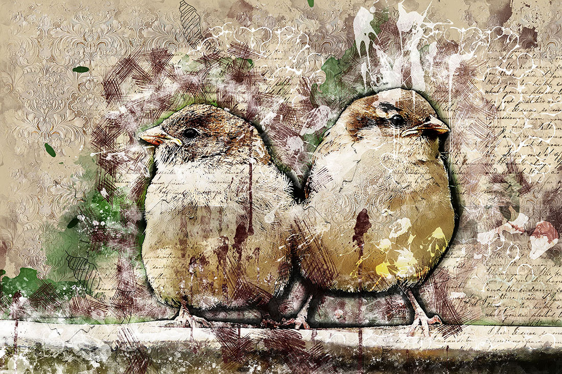 Cute Birds Graphics Rustic Style Preview.