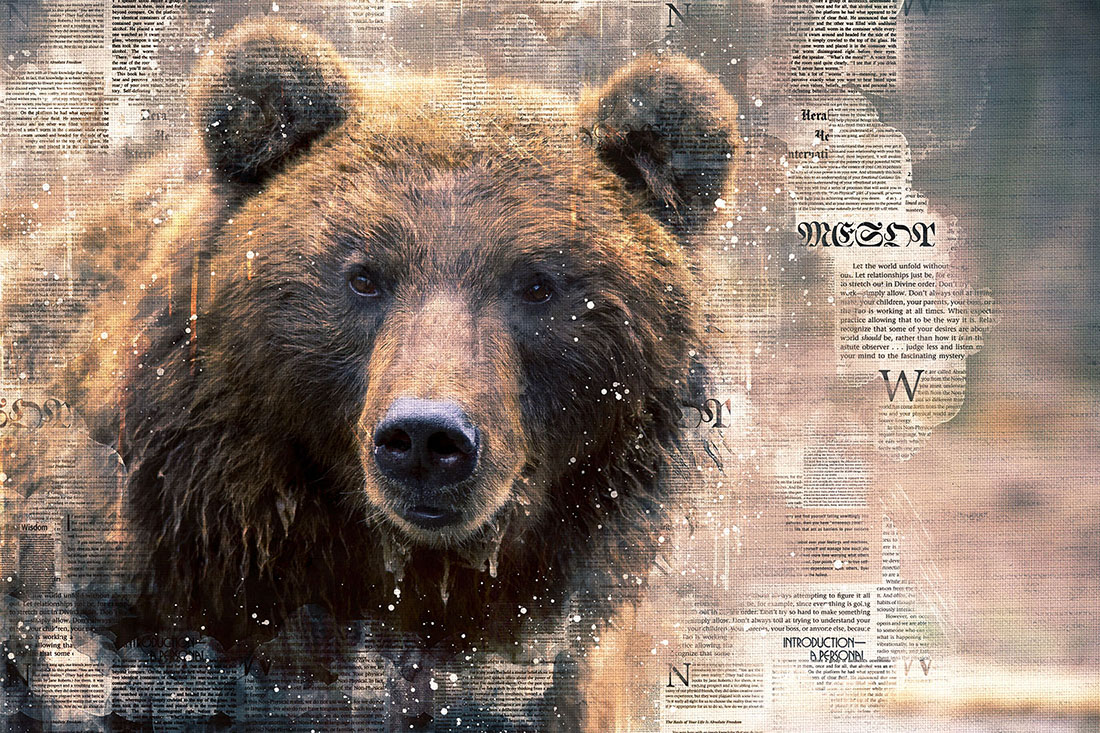Bears Face Graphics with Text Style Preview image.