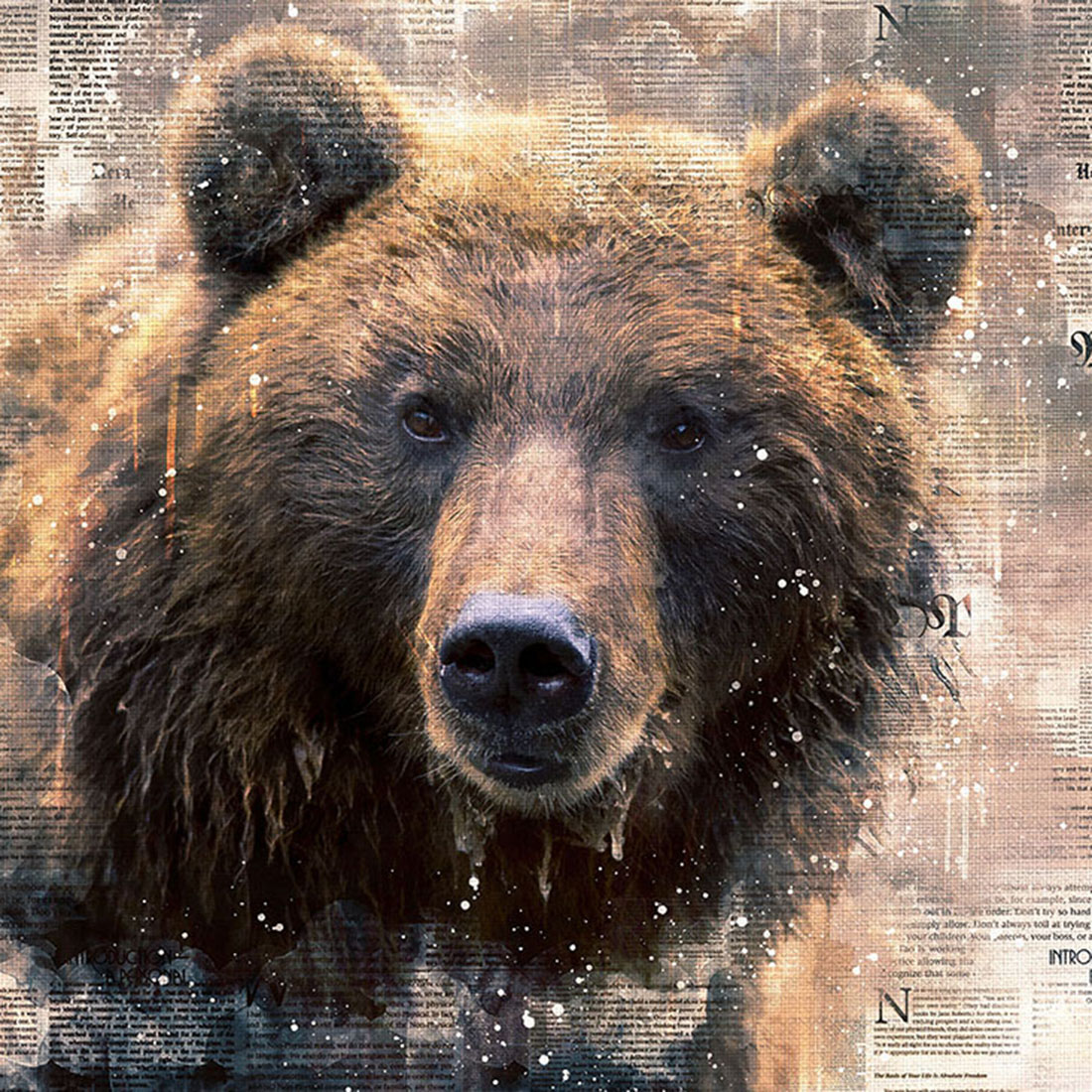 Natural Bears Graphics with Text Style cover image.