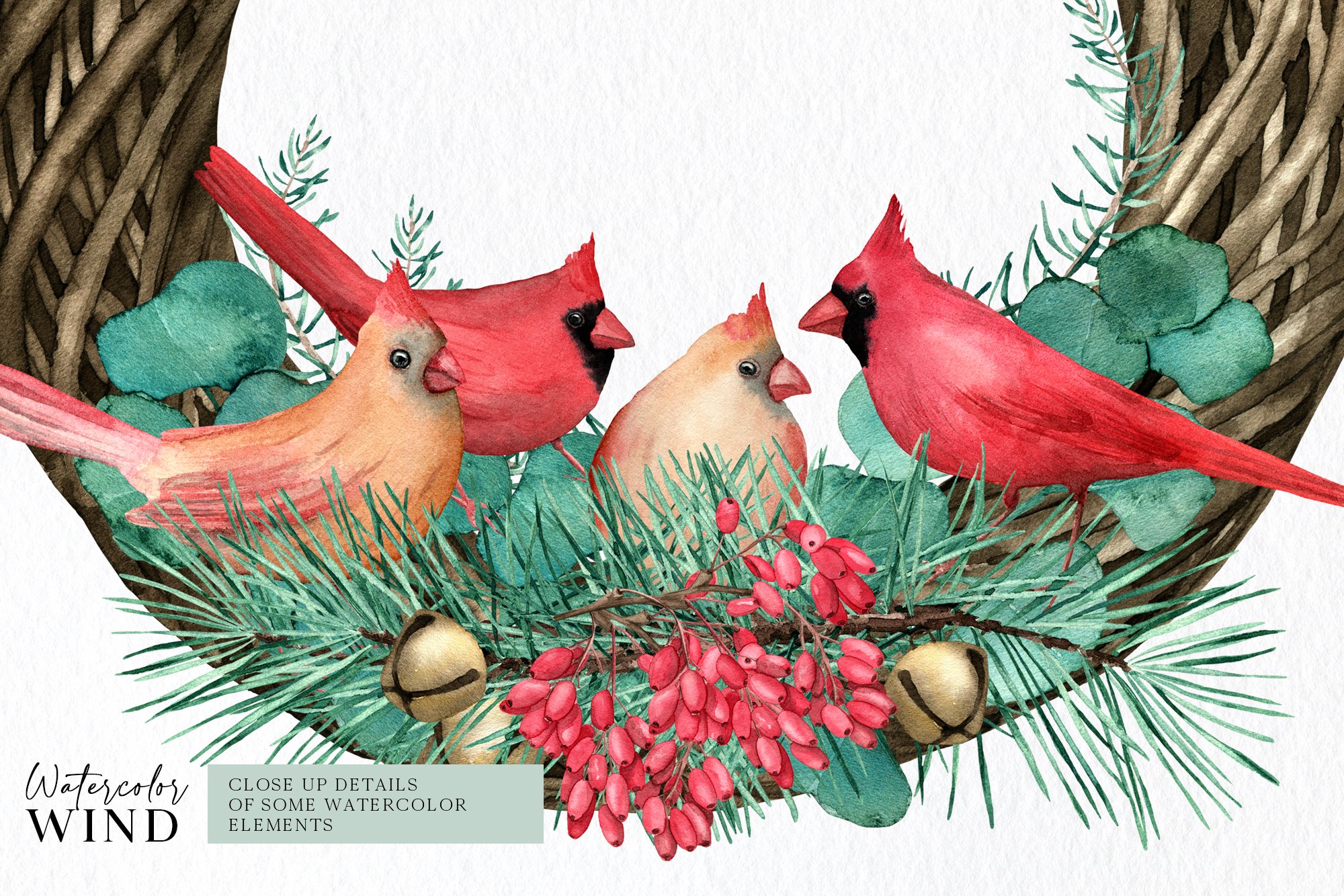 Colorful birds on a Christmas tree branch.