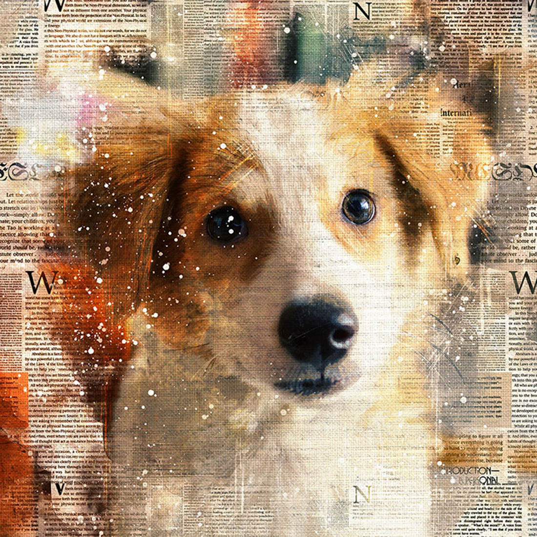 Dogs Graphics with Text Style cover image.