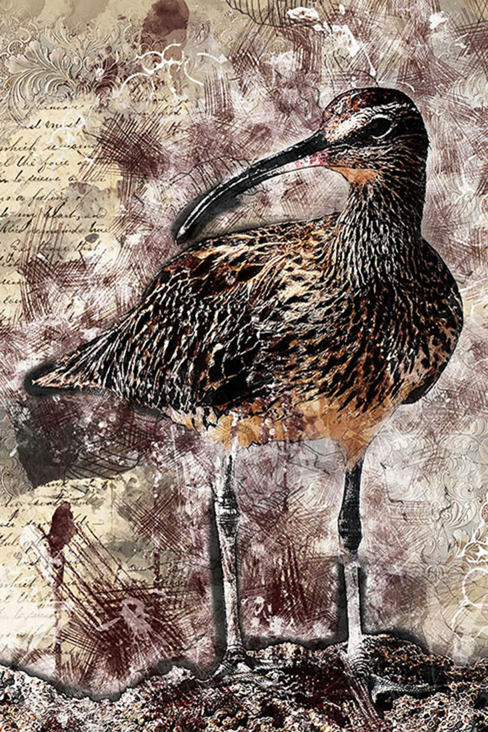 Beautiful Bird Graphics with Rustic Style Pinterest.