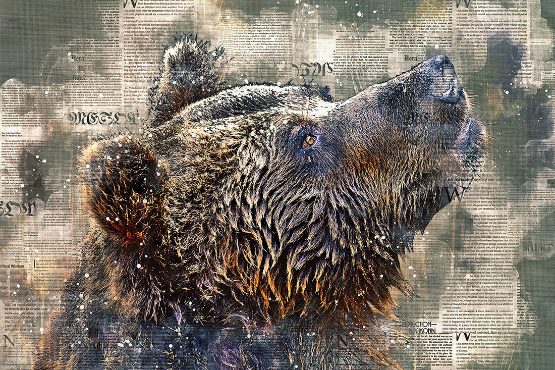 Printable Bears Face Graphics with Text Style Preview image.