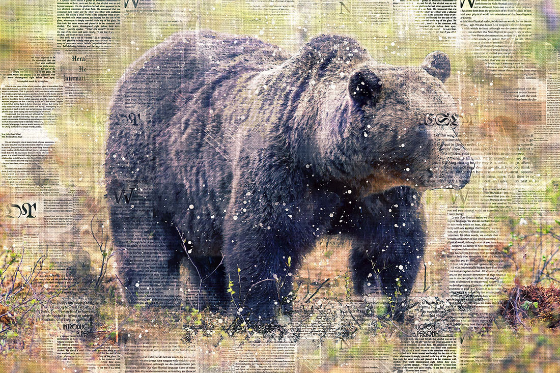 Bears Printable Graphics with Text Style Preview image.