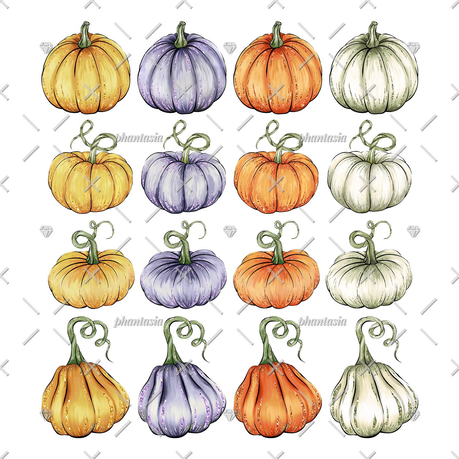 Diverse of colorful pumpkin.