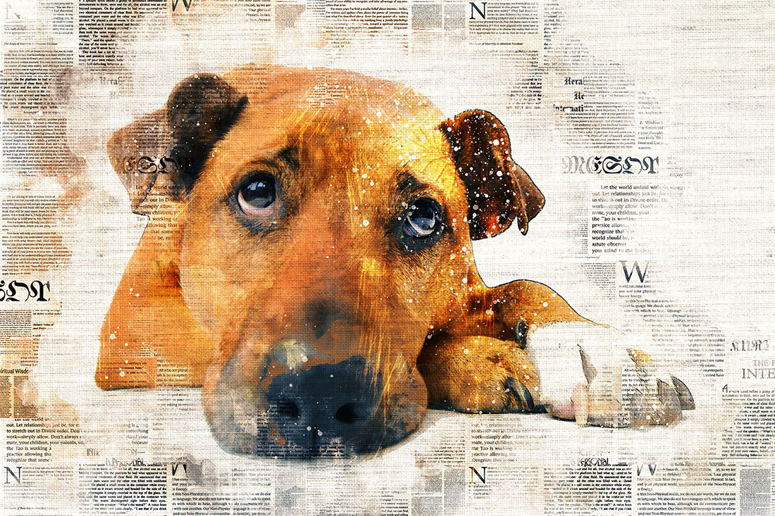Dog Printable Graphics with Text Style Preview image.