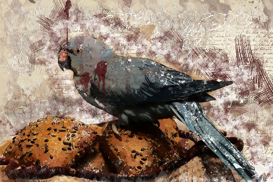 Grey Parrot Graphics Rustic Style Preview.