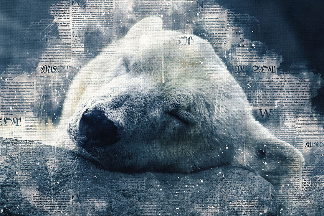 White Bears Printable Graphics with Text Style Preview image.
