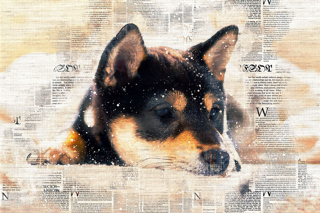 Cute Dog Printable Graphics with Text Style Preview image.