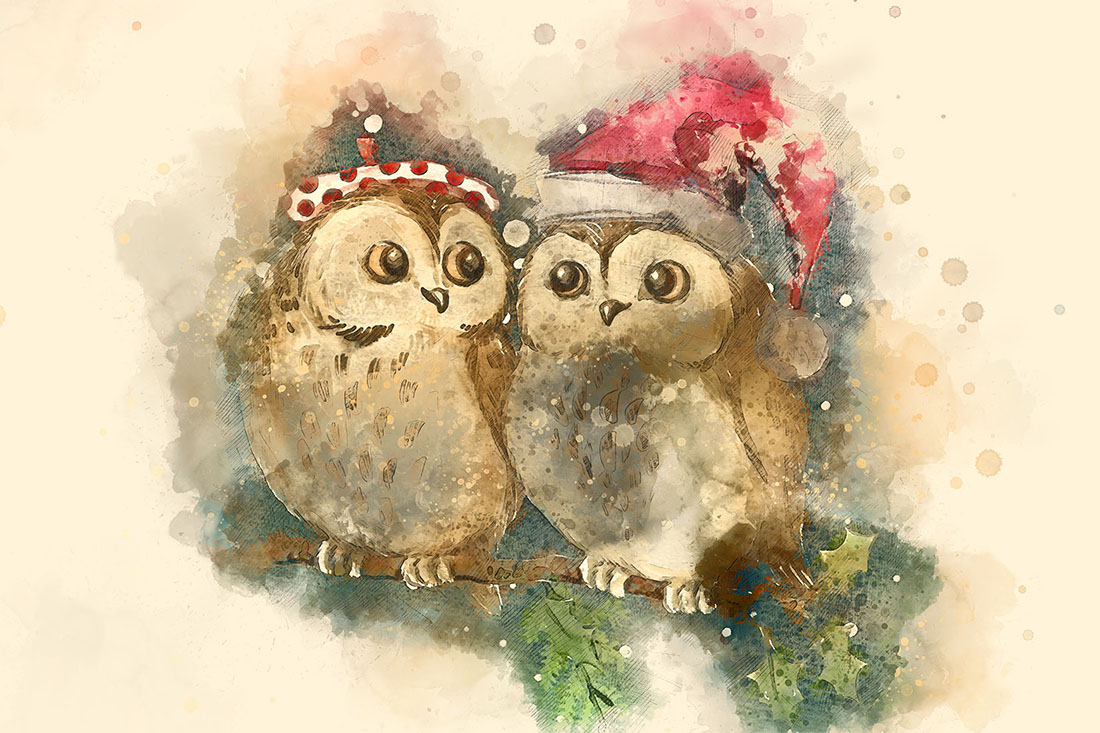 Cute Christmas Owls Graphics with Artistic Style Preview image.