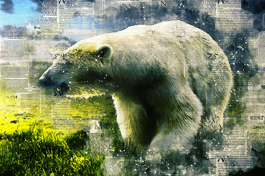 White Bears Graphics with Text Style Preview image.