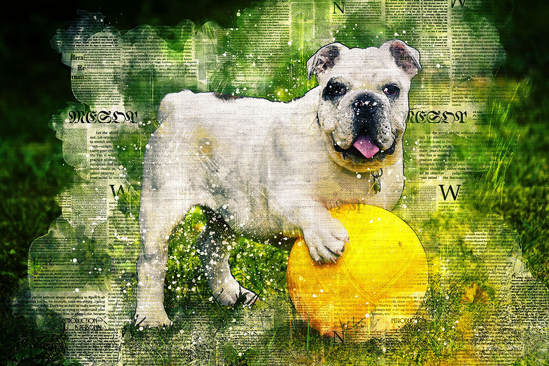 Dog with Ball Printable Graphics with Text Style Preview image.