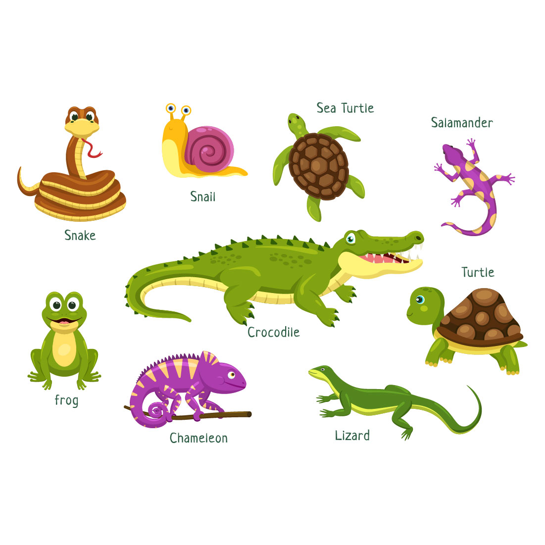 10 Set of Animal Reptile Illustration cover image.