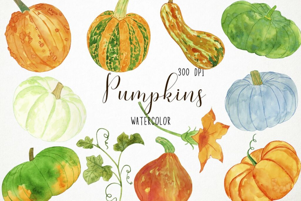 Watercolor Pumpkins Clipart 11 PNG – MasterBundles
