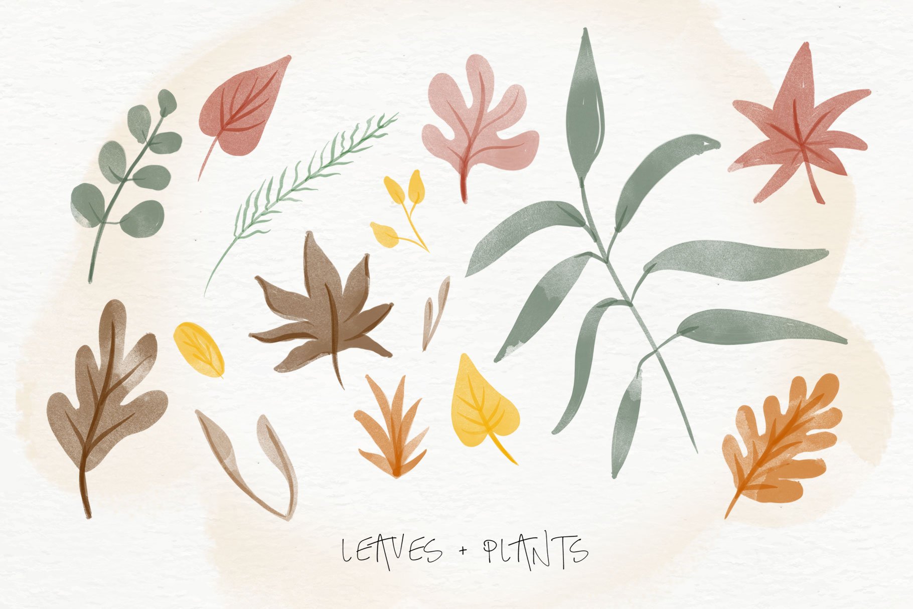 Delicate autumn leaves in pastel colors.