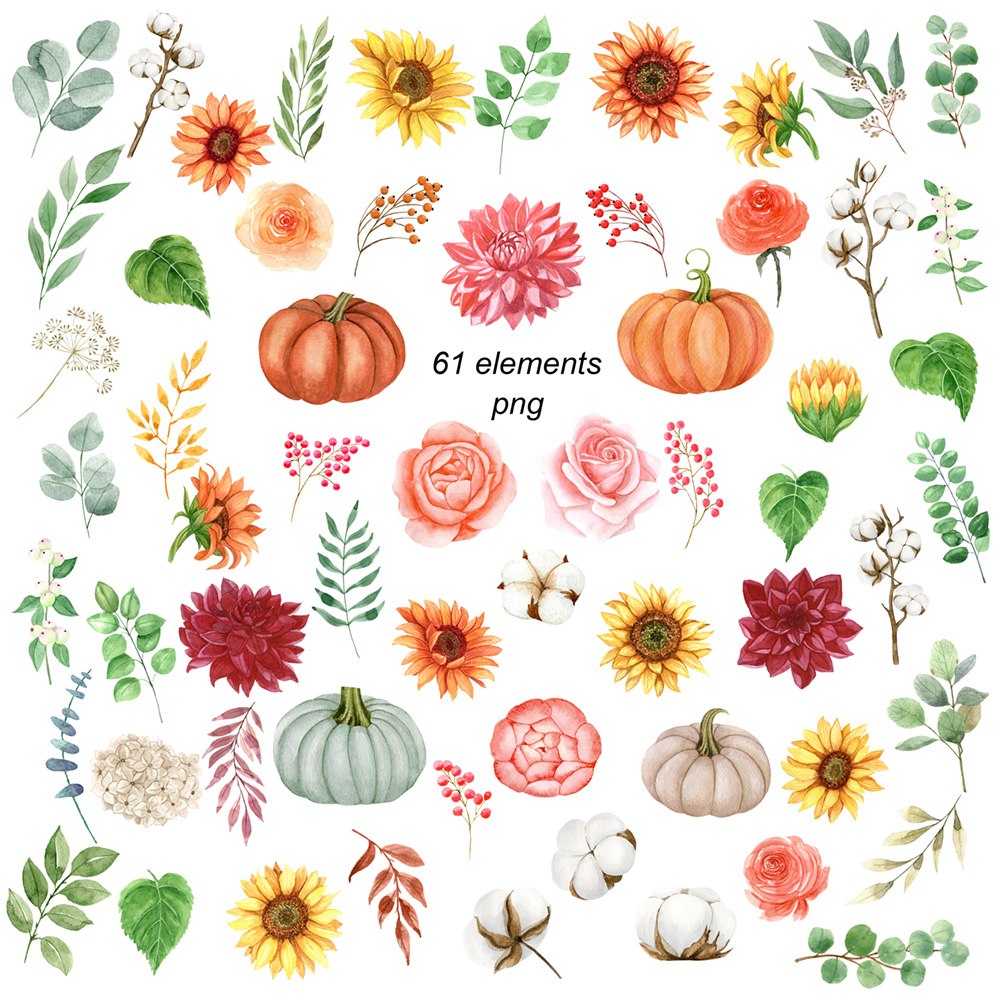 Autumn Collection of Watercolor Flowers and Pumpkins elements.