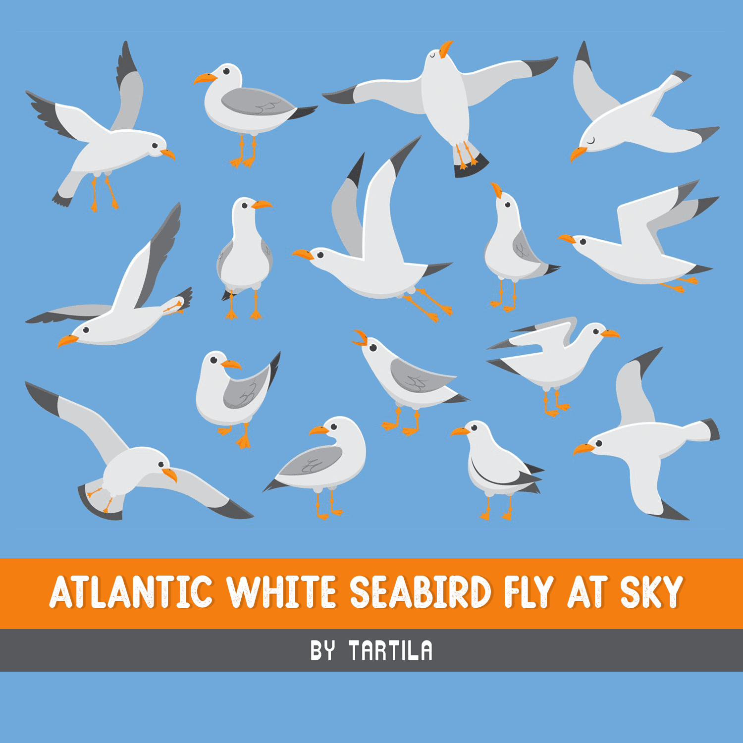 Atlantic white seabird fly at sky. Beach seagull at quay. cover.
