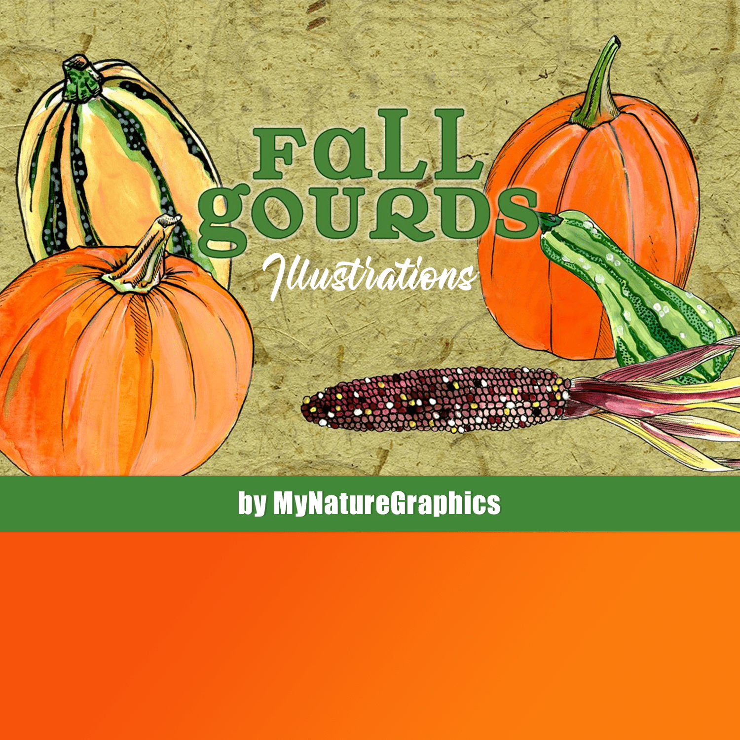 Fall Gourd Illustrations cover.