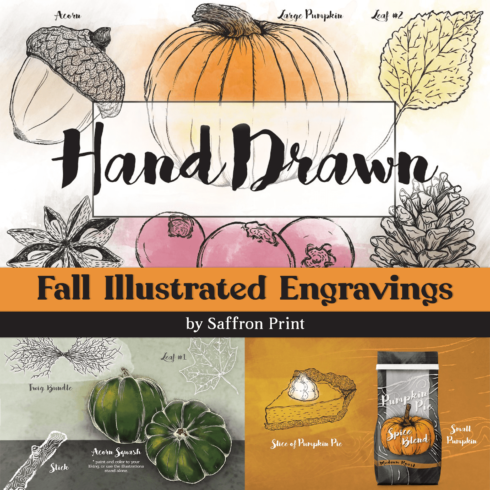 Fall Illustrated Engravings.