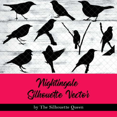 Nightingale Silhouette Vector.