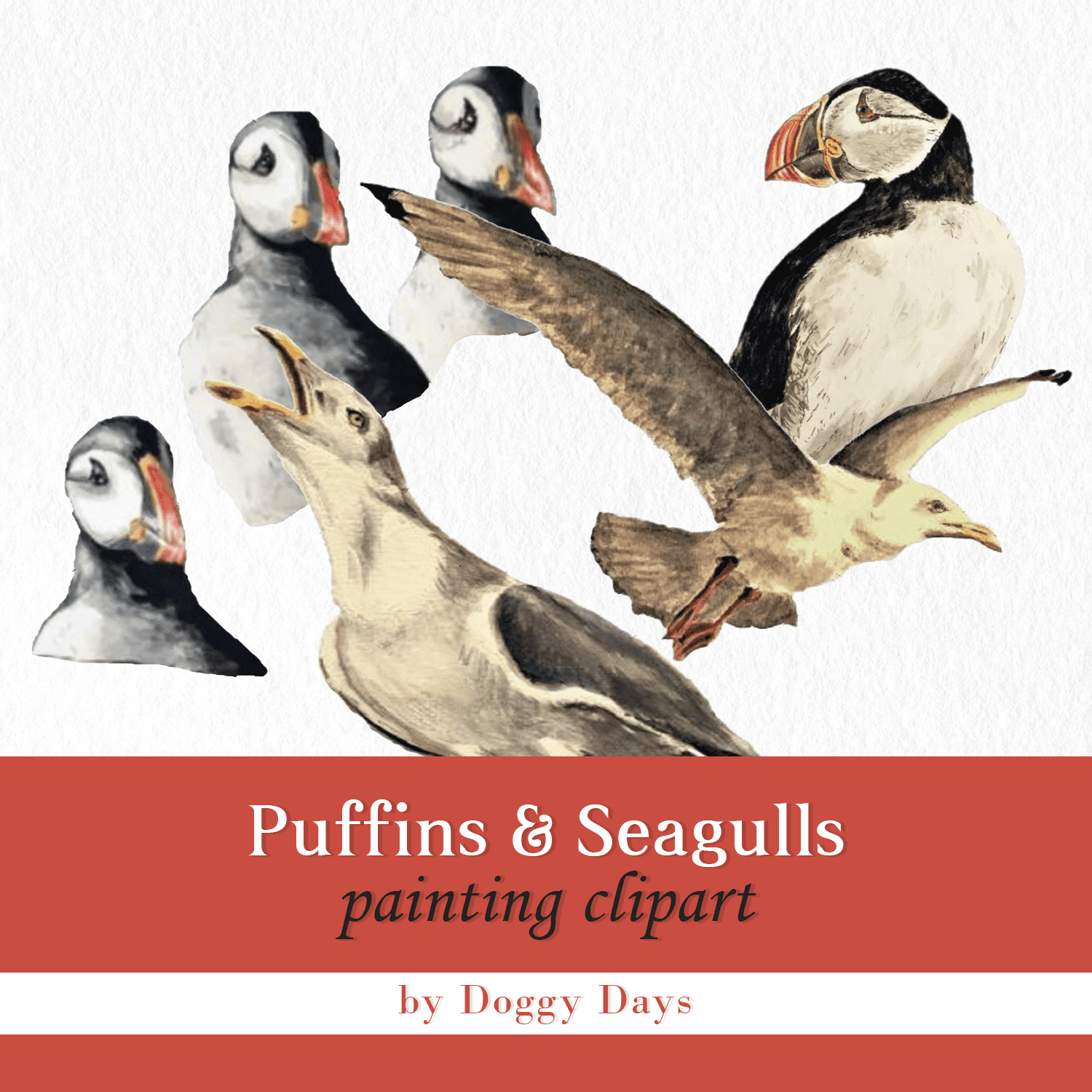 Puffins & Seagulls painting clipart cover.