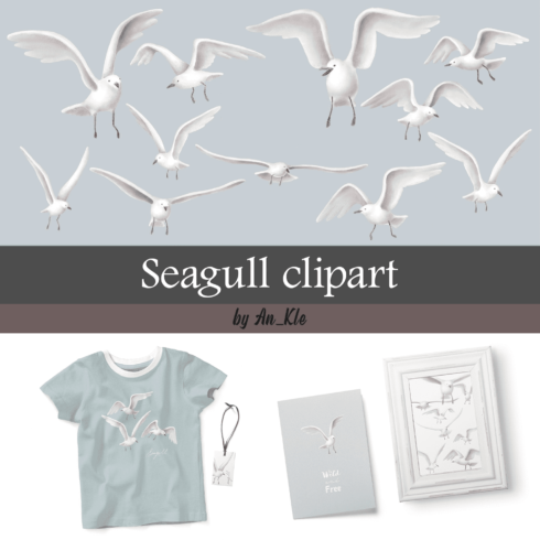 Seagull clipart.