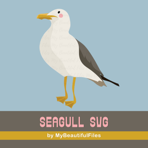 Seagull SVG - Cute Pirate SVG, EPS, PNG and JPG.