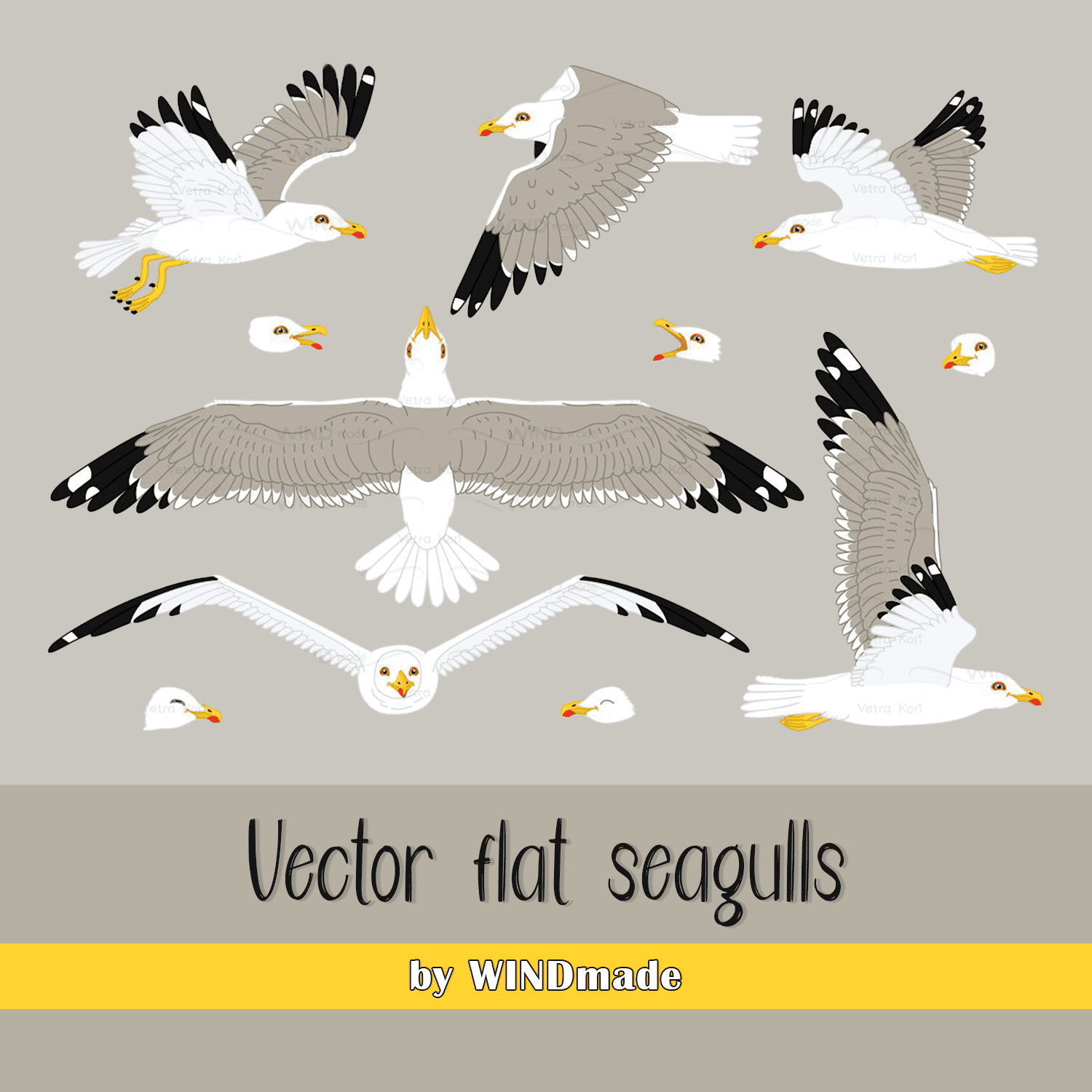 vector flat seagulls sea gull cover.