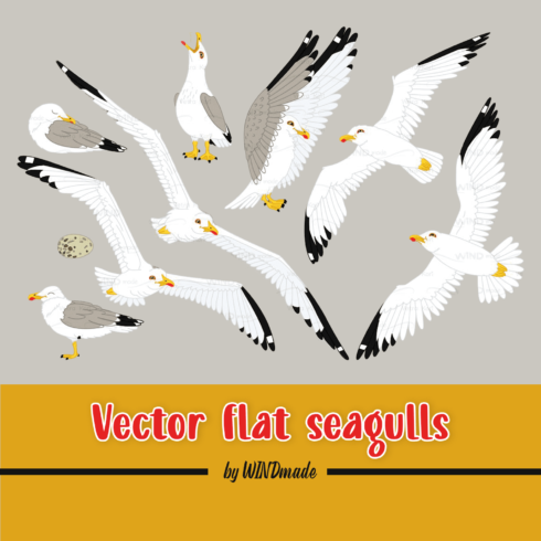 Vector seagull sea gull set.
