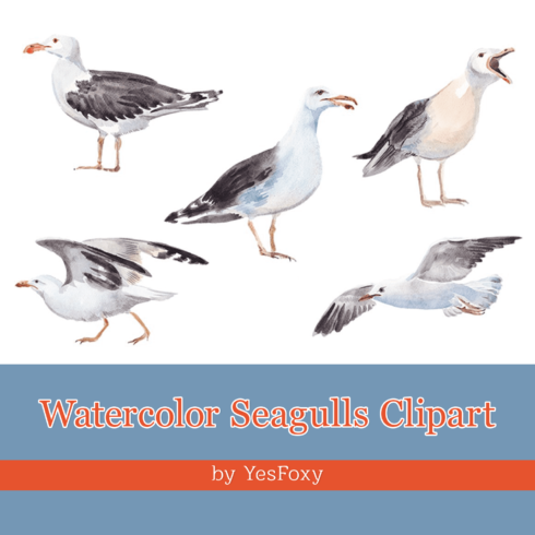 Watercolor Seagulls Clipart.