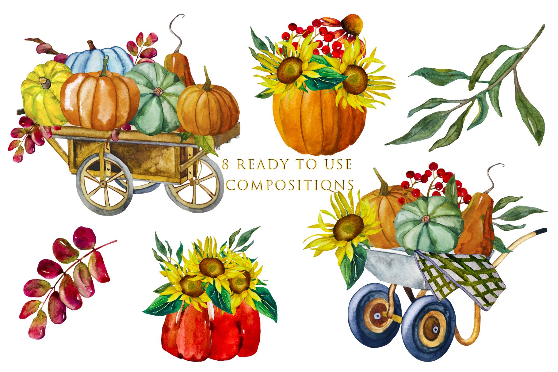 Autumn illustrations with flowers.