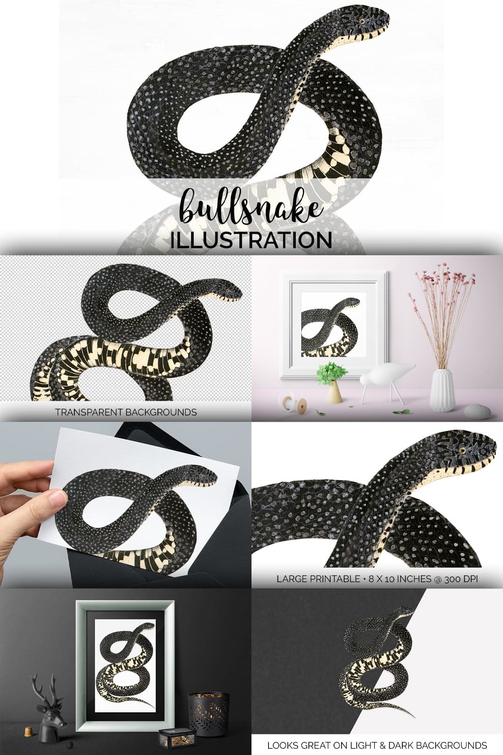 Collection of colorful images bullsnake.