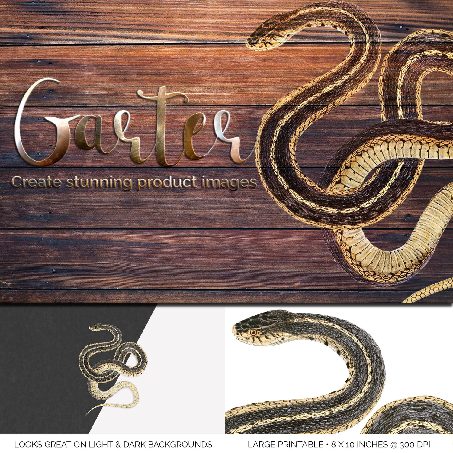 The image of a beautiful snake on the background of wood.