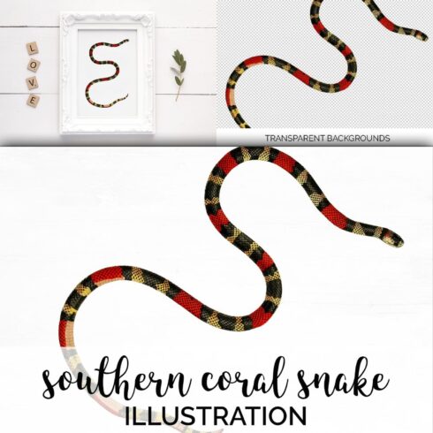 Colorful set of images with coral snake.