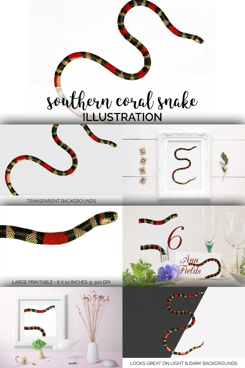 Collection of colorful images coral snake.