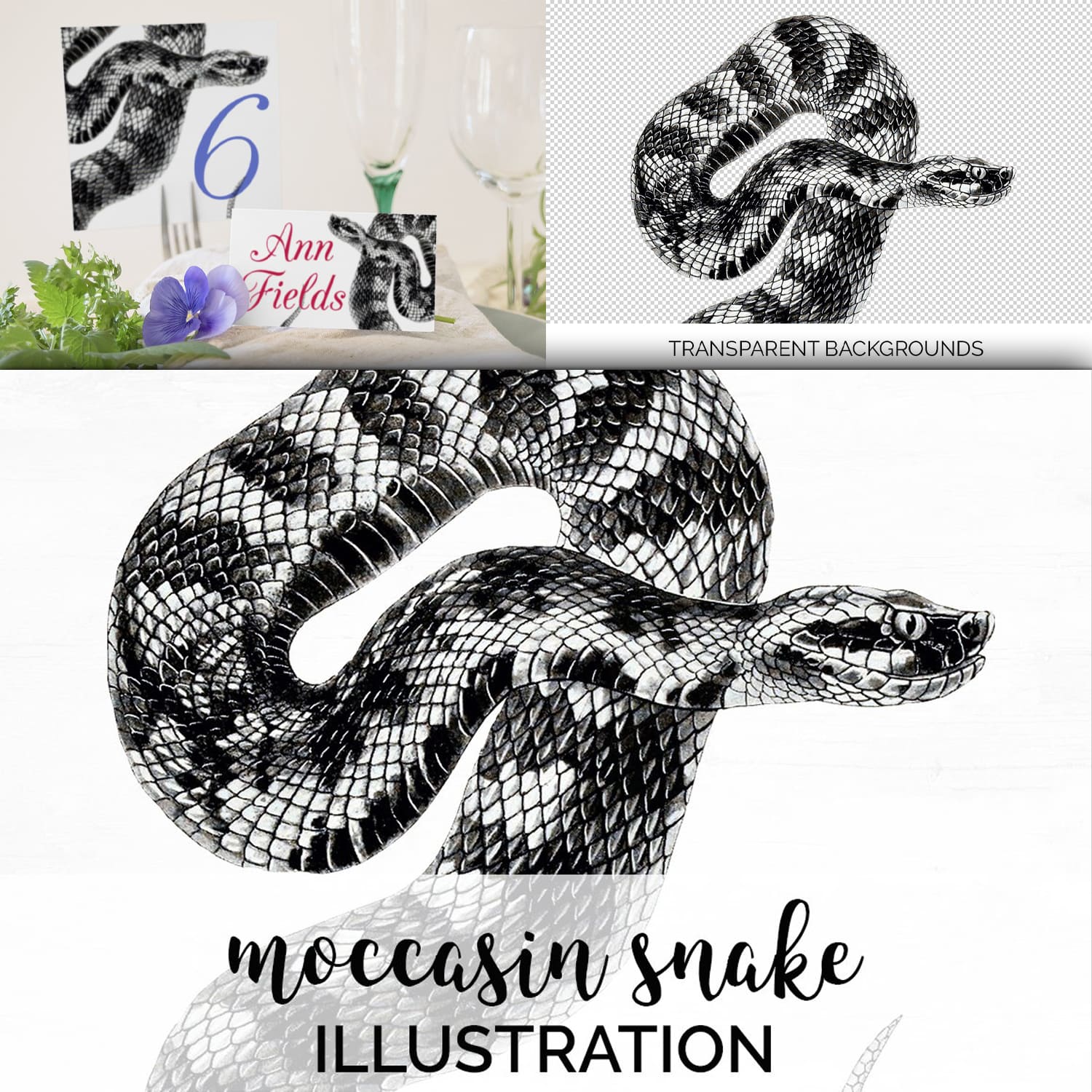 Breathtaking images set moccasin snake.