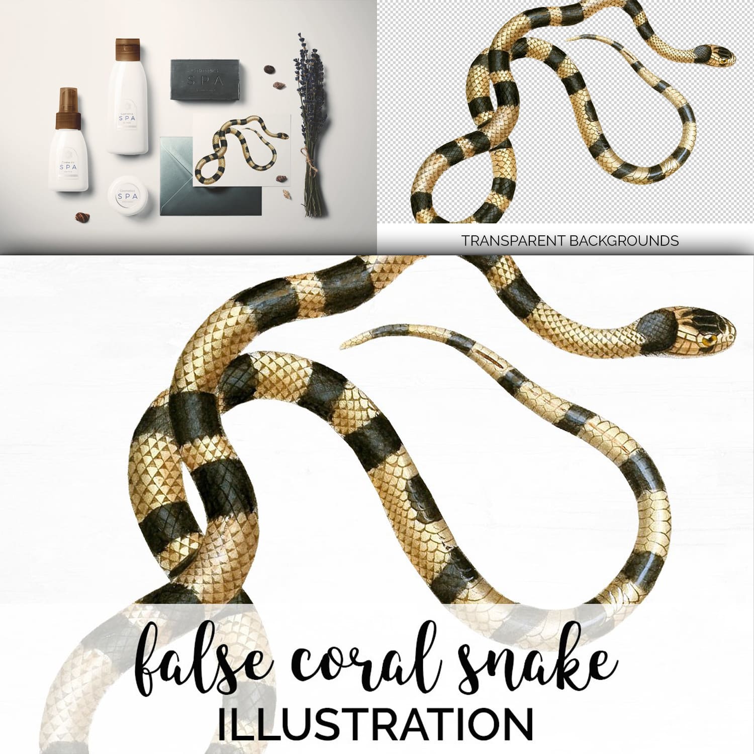 Colorful set of images with false coral snake.