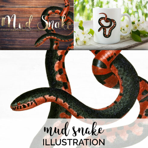 Collection of colorful images mud snake.
