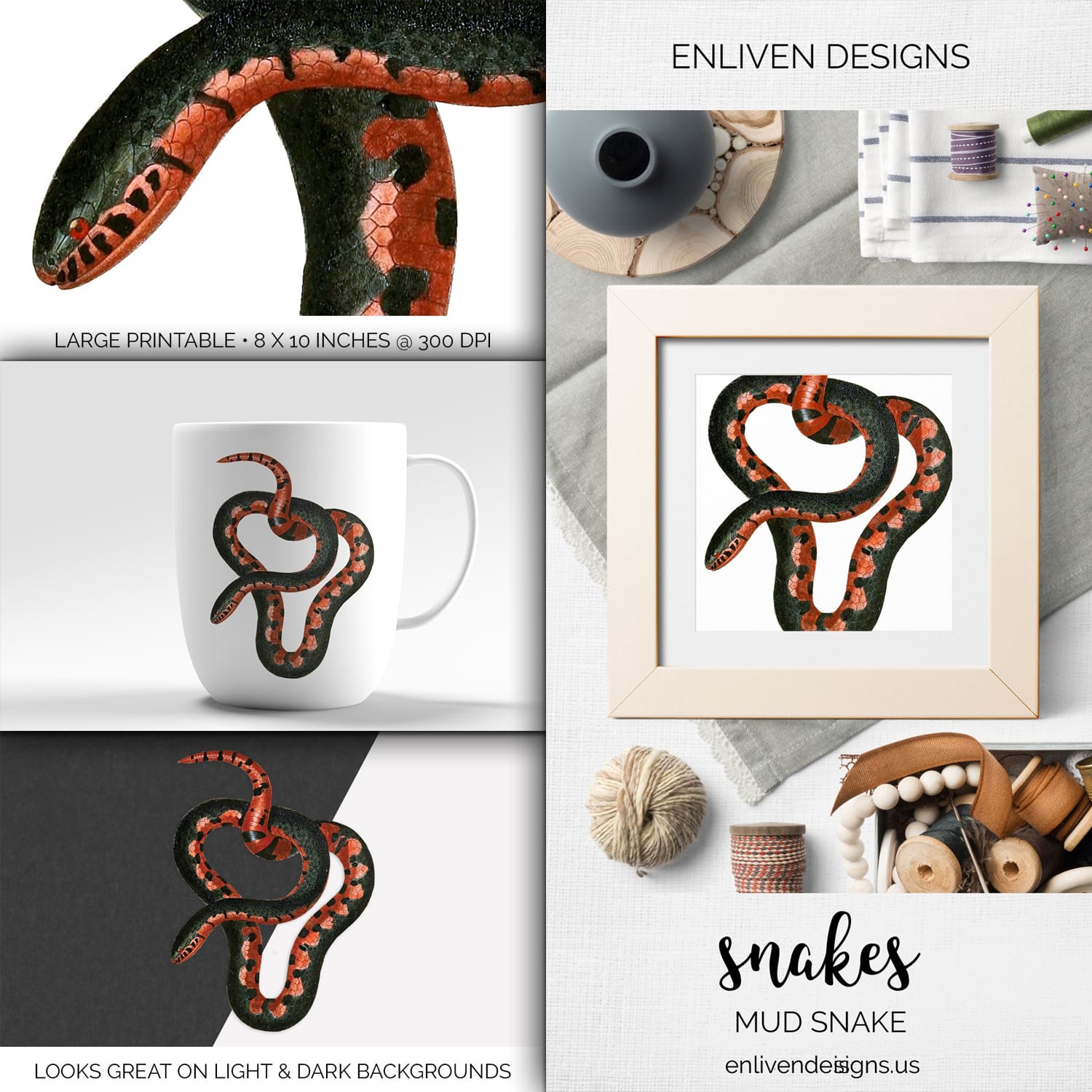 Colorful set of images with mud snake.