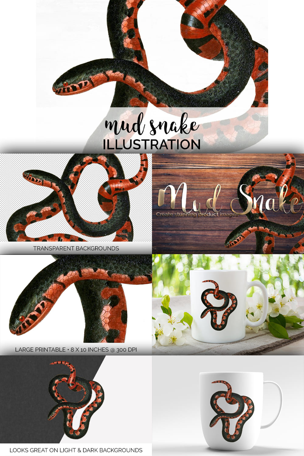 Cover images of vintage mud snake.